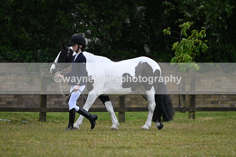 WJ7_5715 - Class 4 Prettiest Mare in Hand