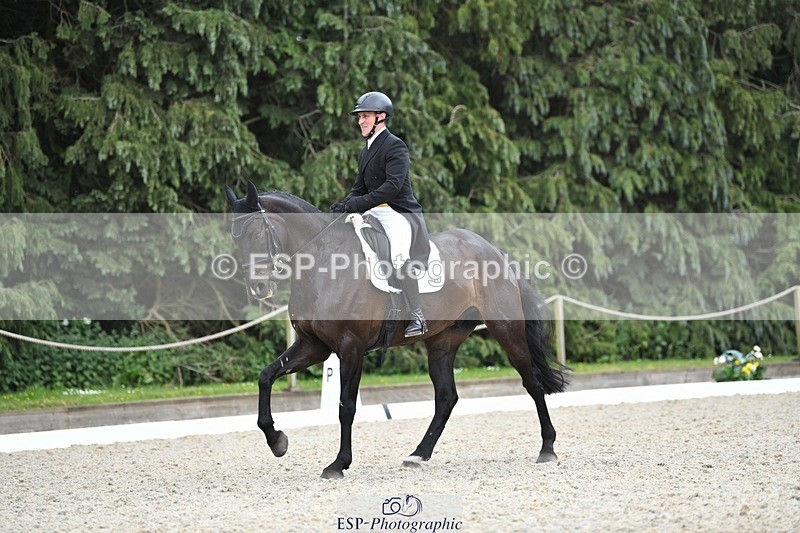 230525-141243-03109 - 319-RINGFORT_REVE_DU_MOULIN-Andrew_Downes-WEDTrotUp+DR