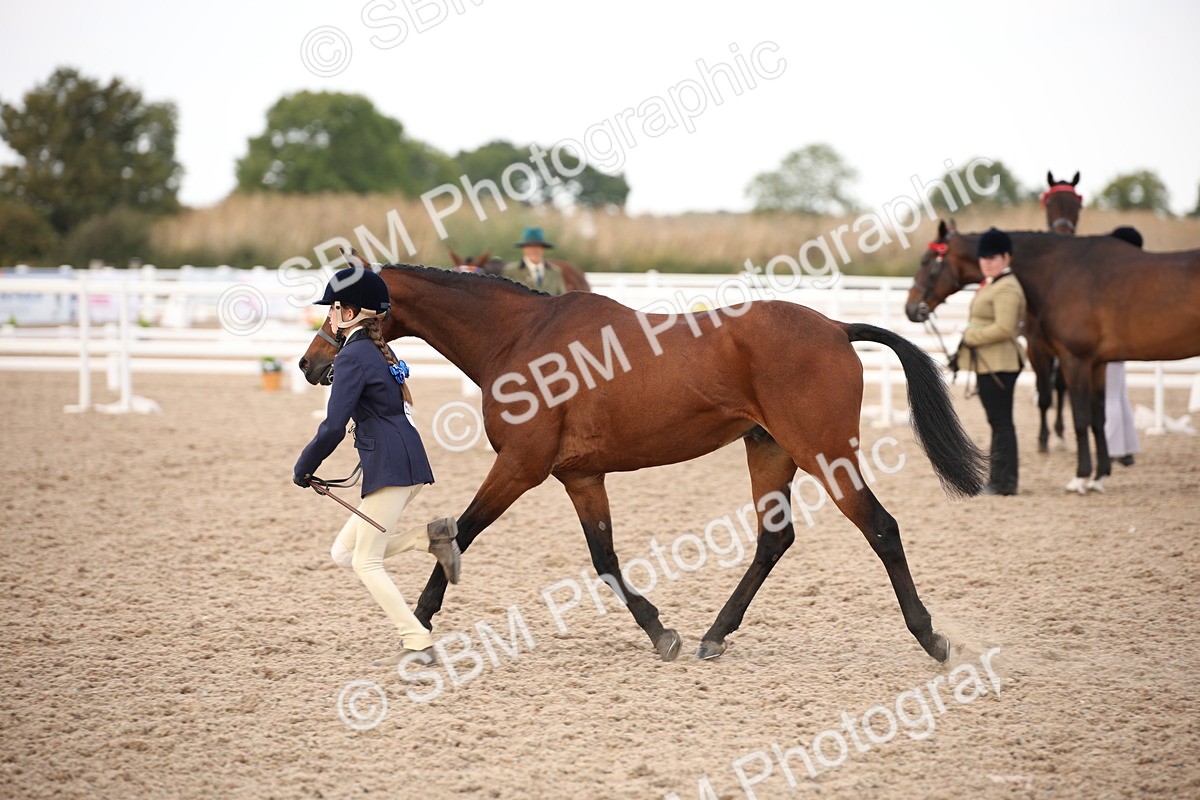SBM_08237 - Class 27 - IH Competition Horse-Pony