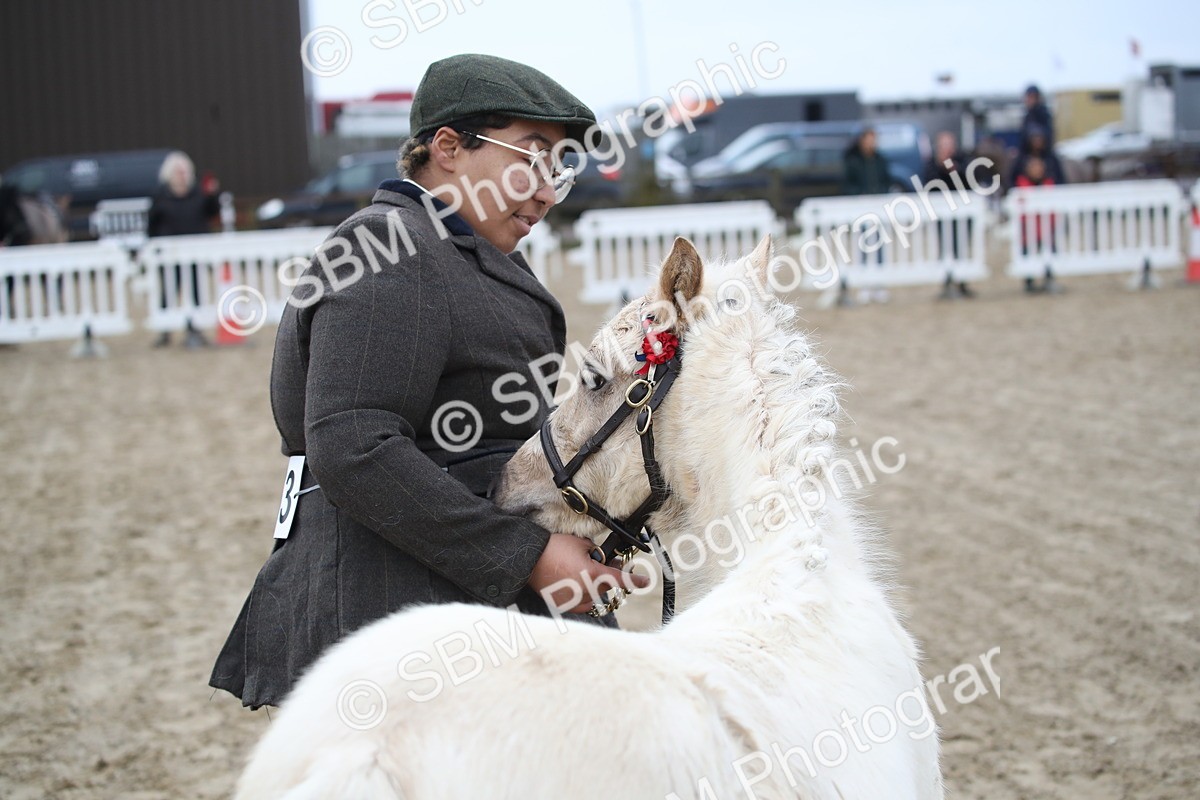 SBM_004568 - Class 5-9 - NPS In Hand-Show Hunter-Intermediate Ridden Inc Ridden Championship