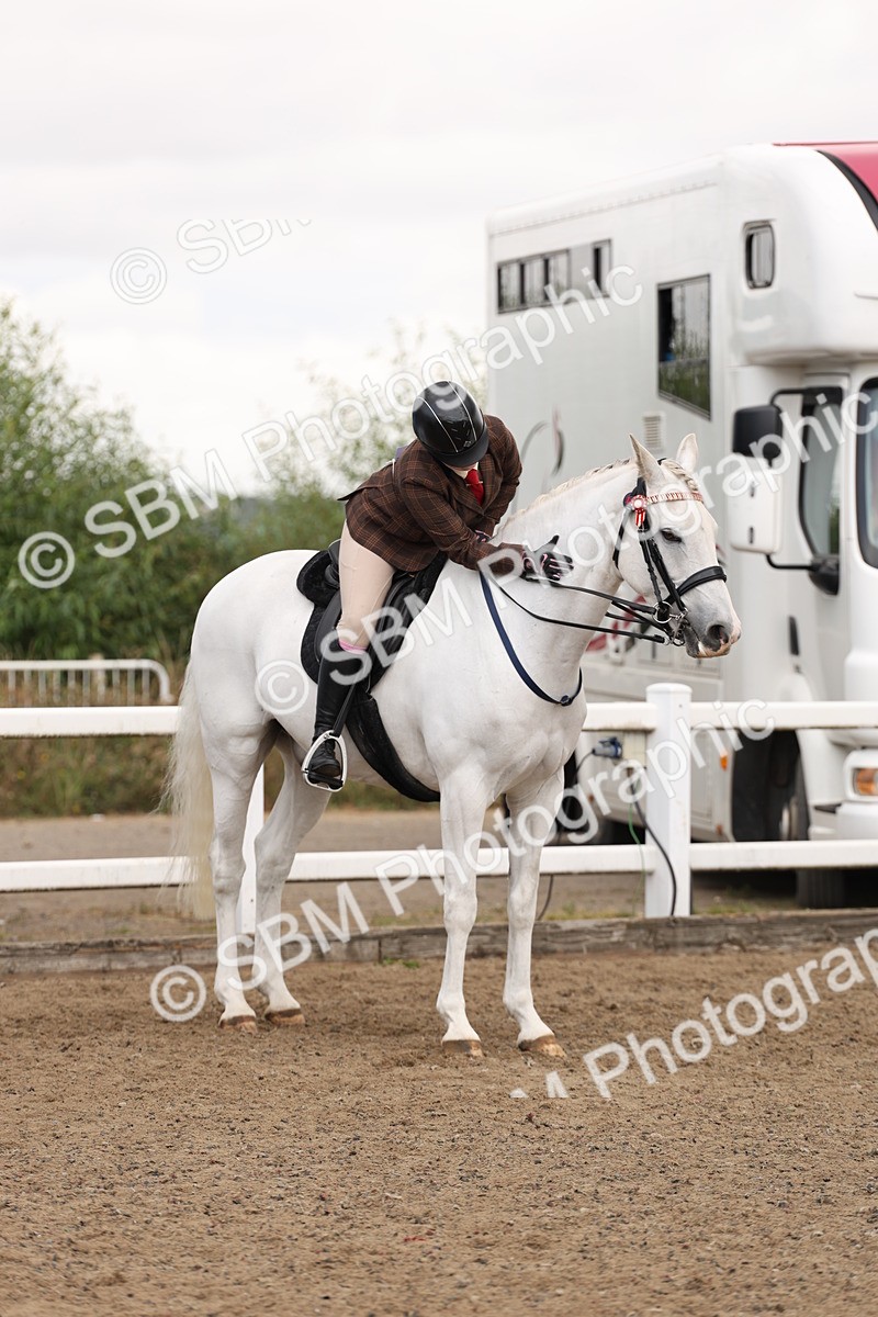 SBM_02934 - Class 53 - Ridden Competition Horse/Pony