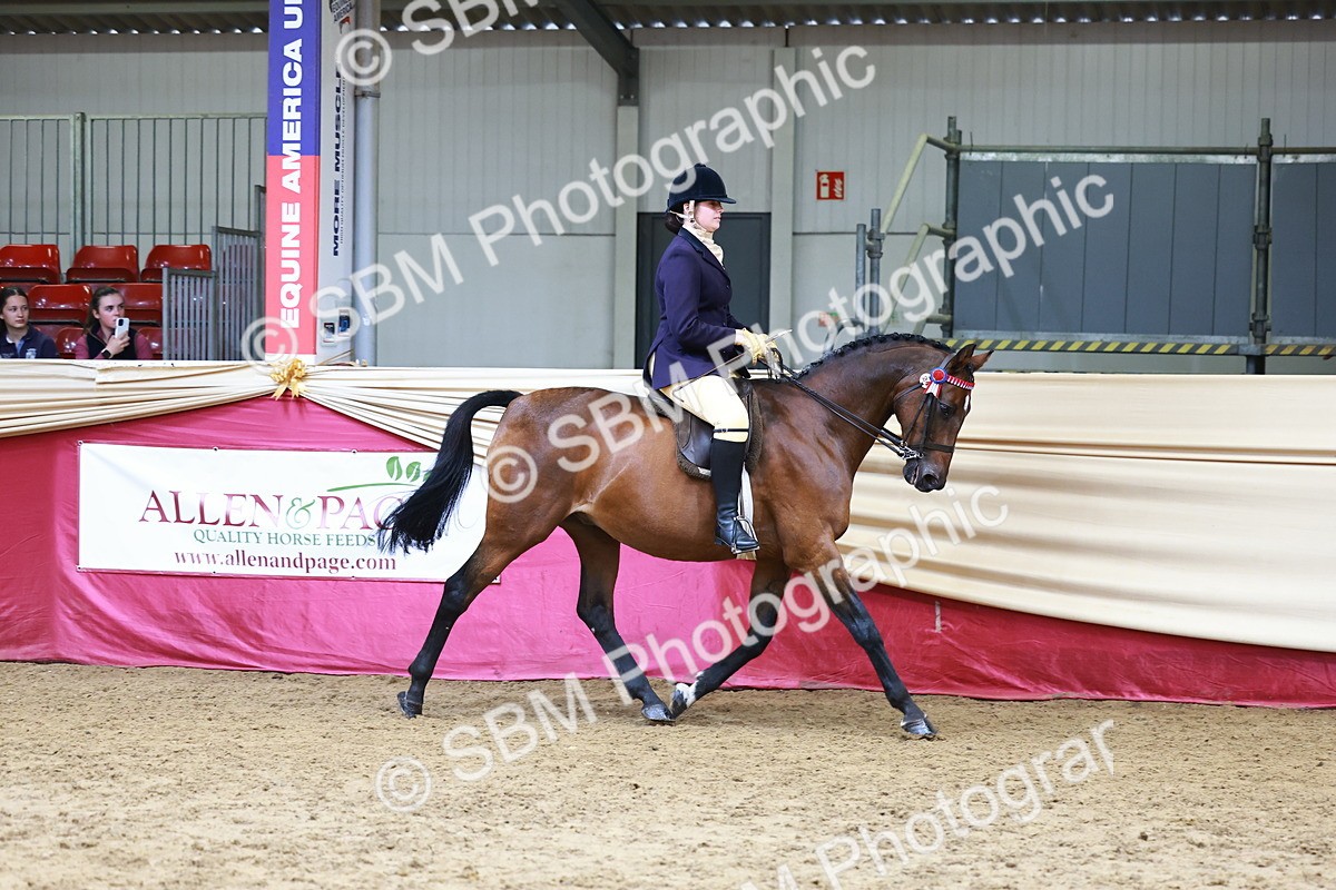 SBM_23694 - Class 905 - Supreme Final - Ridden Veteran