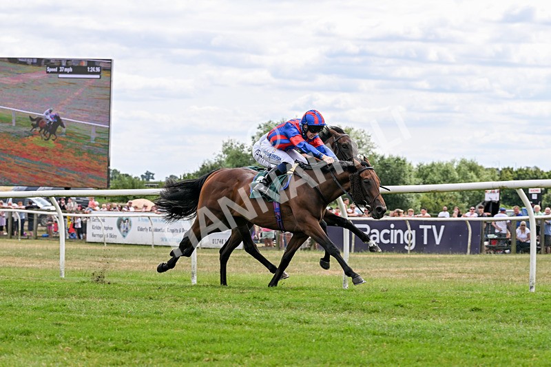 220726-Race 2-Koodini-9033 - Race 2 14.37pm Try Racing TV For Free Now Nursery Handicap