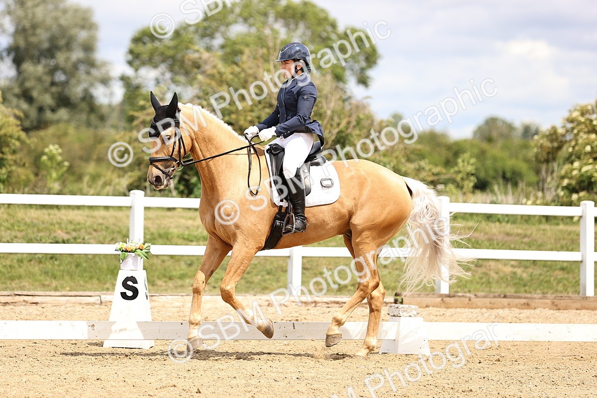 SBM_002993 - Class 2 - Novice 4 - 12.00-13.10