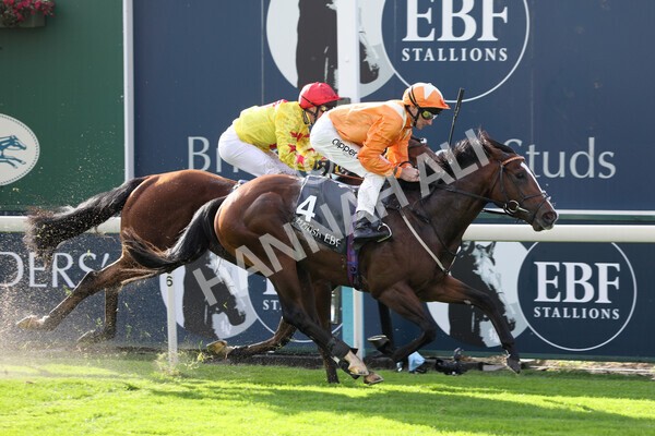 yr07102022r3-33 - Race 3 3.15pm British EBF £100,000 2yo Series Final (Colts and Geldings)