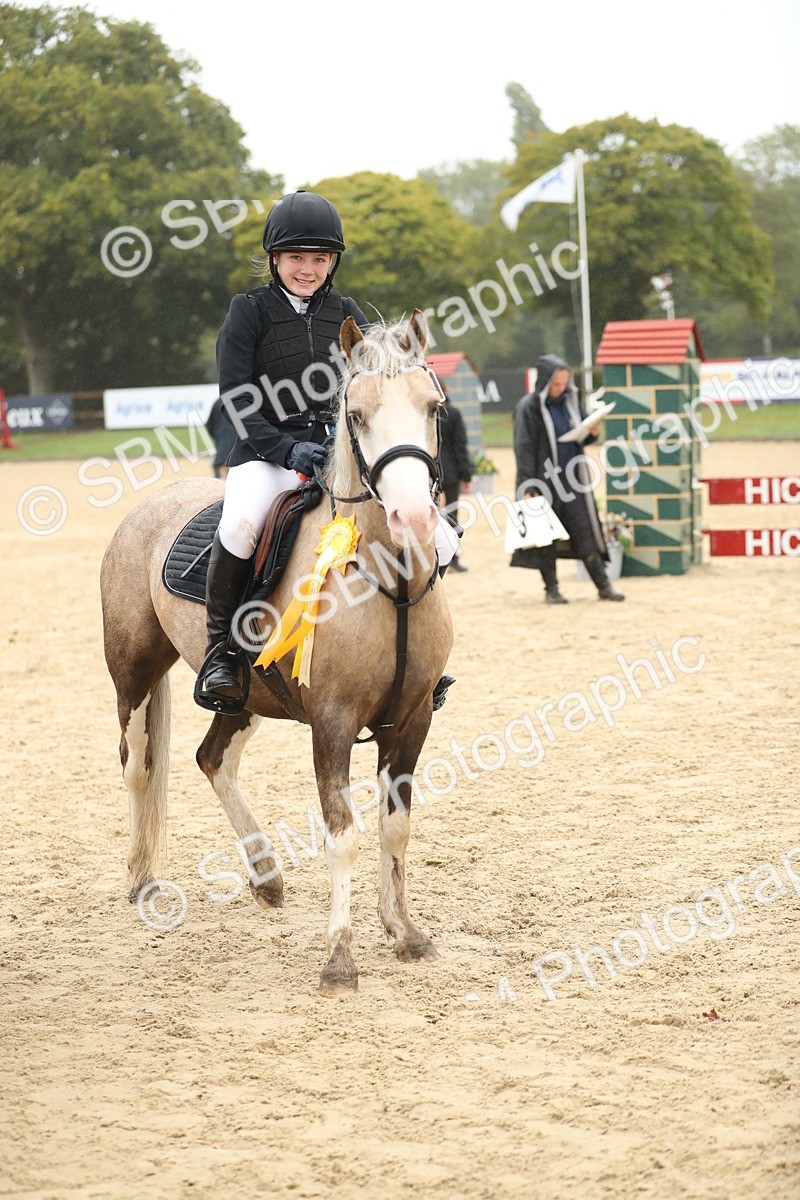 SBM_74104 - J16 - Junior Pony 75cm Championship