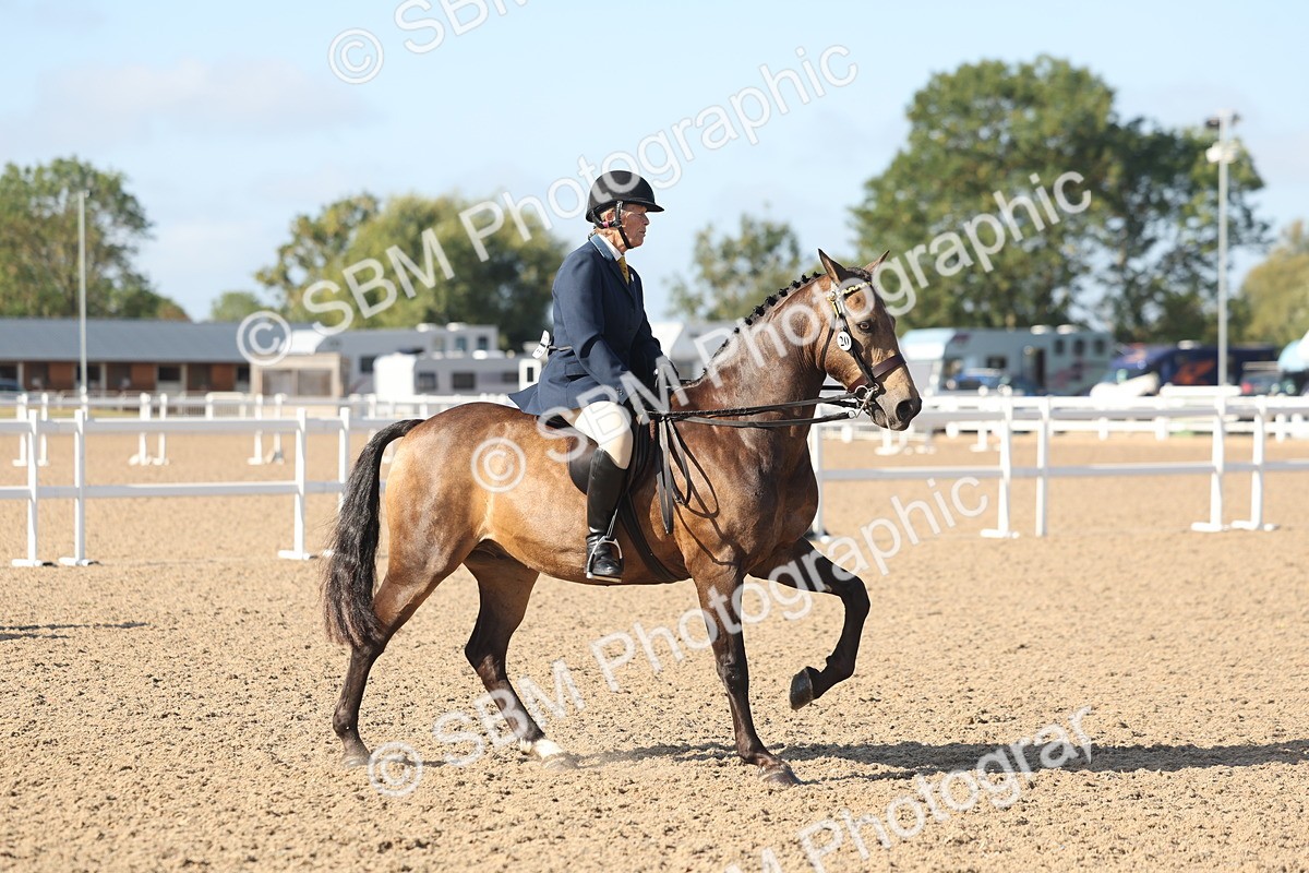 SBM_22307 - Class 803 - Ridden Combination 65+