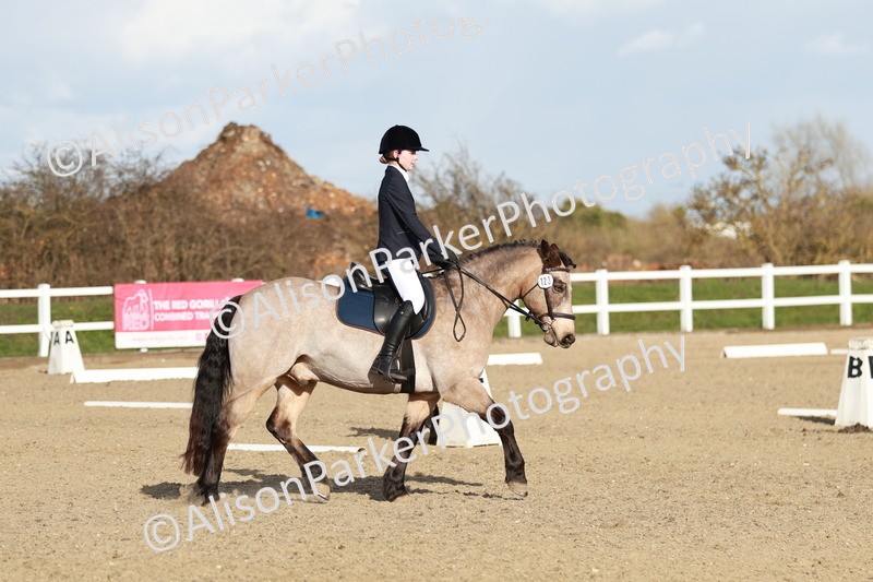 20260314-5382 - DR4 - Prelim 2