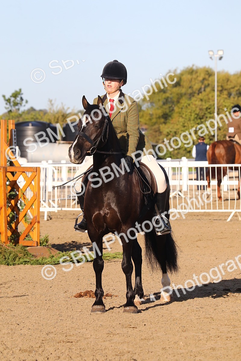 SBM_07902 - Class 501 - Riding Club Pony