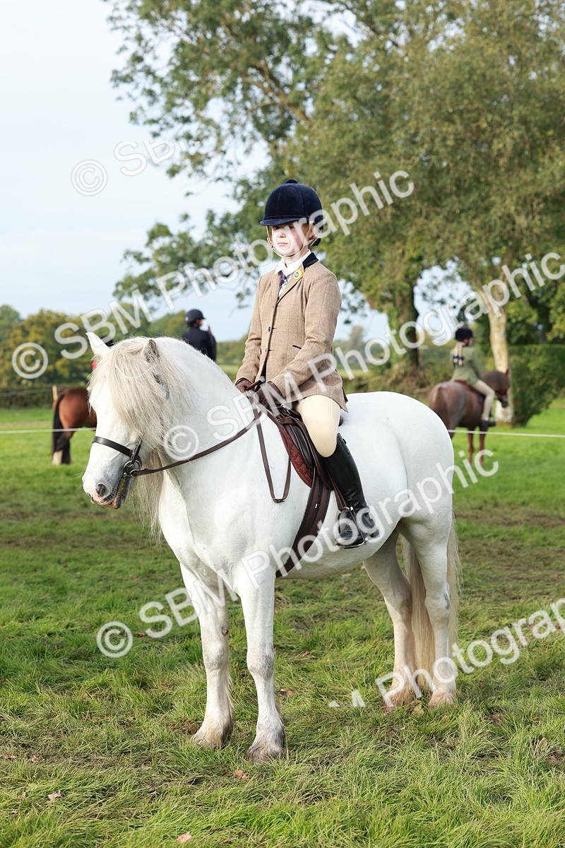 SBM_56445 - S39 - Starters In Hand Showing