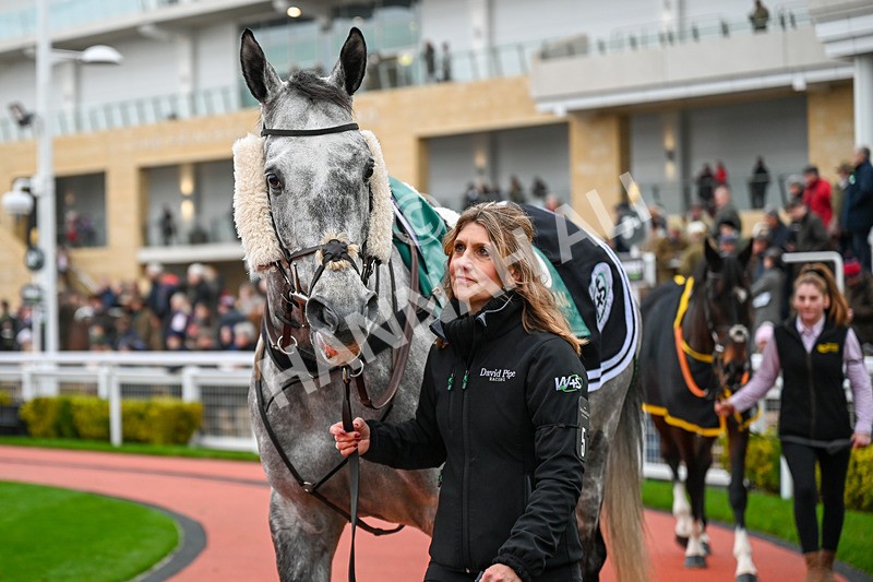 131224-Race 4-King Turgeon-9679 - Race 4