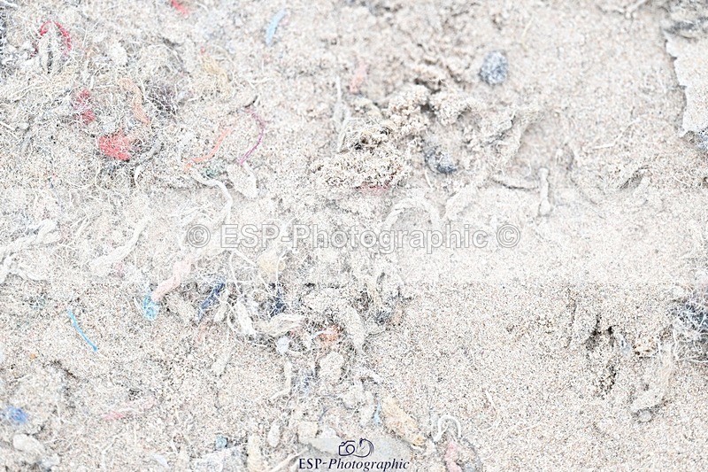 251015-104556-00114 - Cls 1 British Novice and 90cm Open