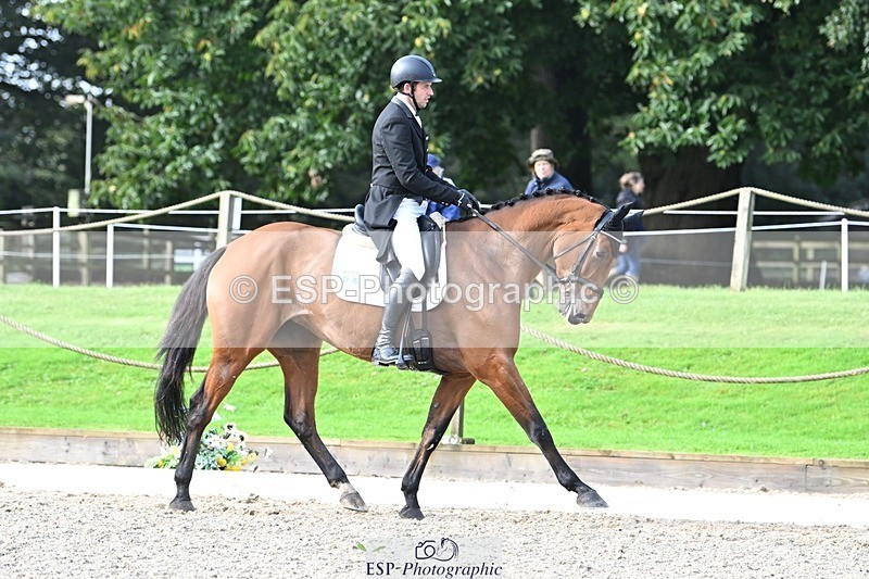 231019-110519-01733 - 036-DIAMANT.CRYSTAL.BLUE-Adam.Trew-DR