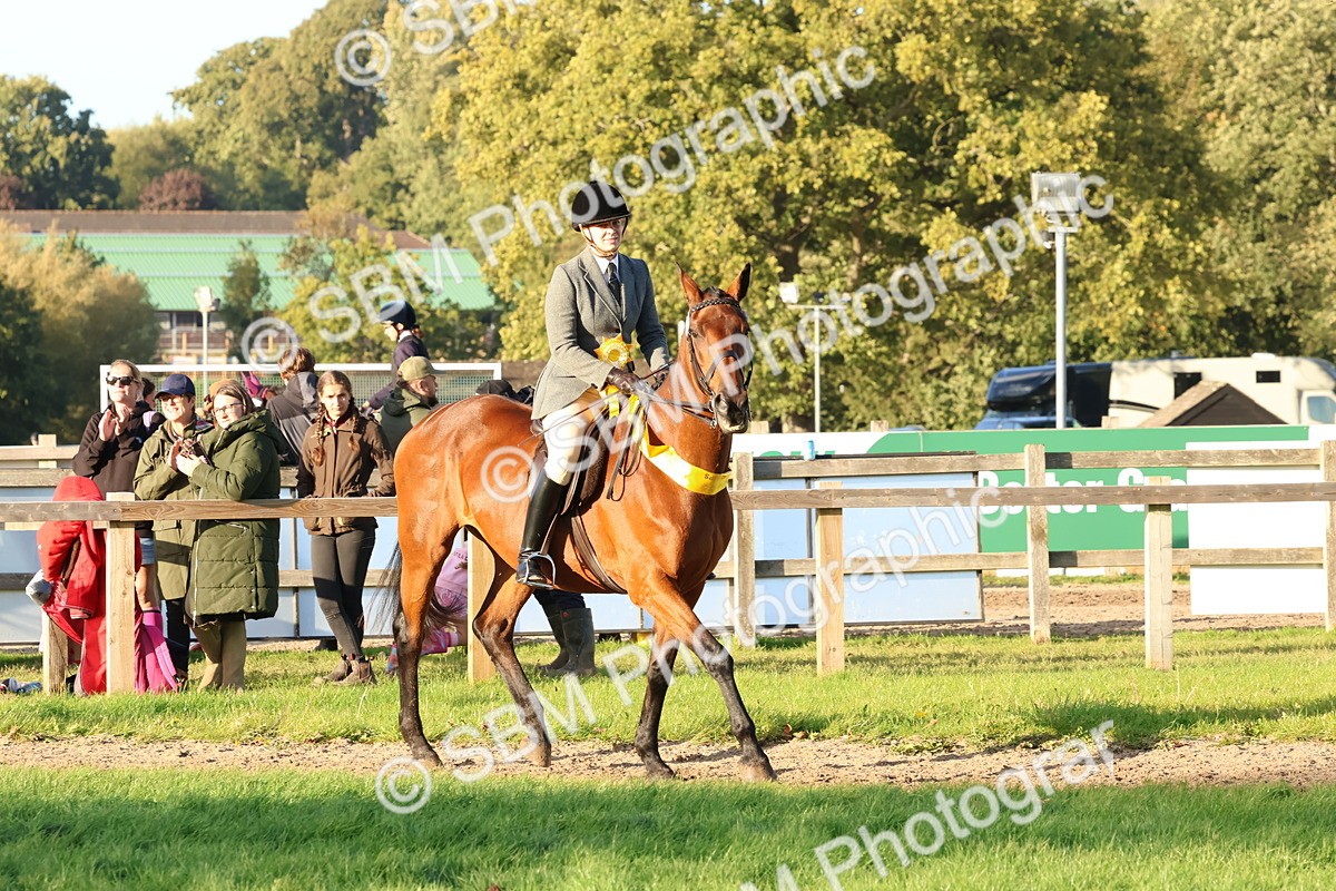 SBM_53106 - S29 - Mature Veteran Ridden