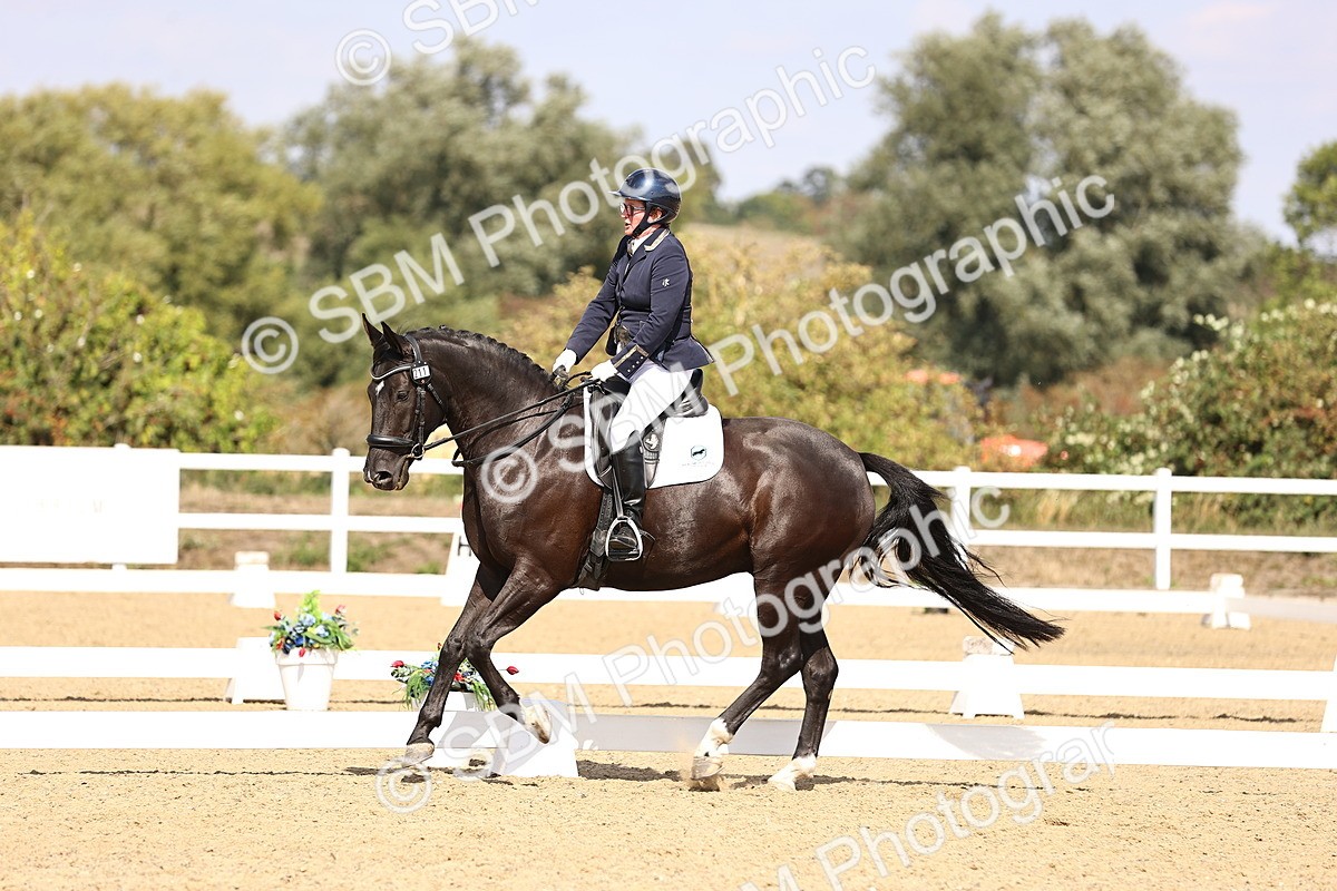 SBM_015046 - Class 6 - Elementary 5