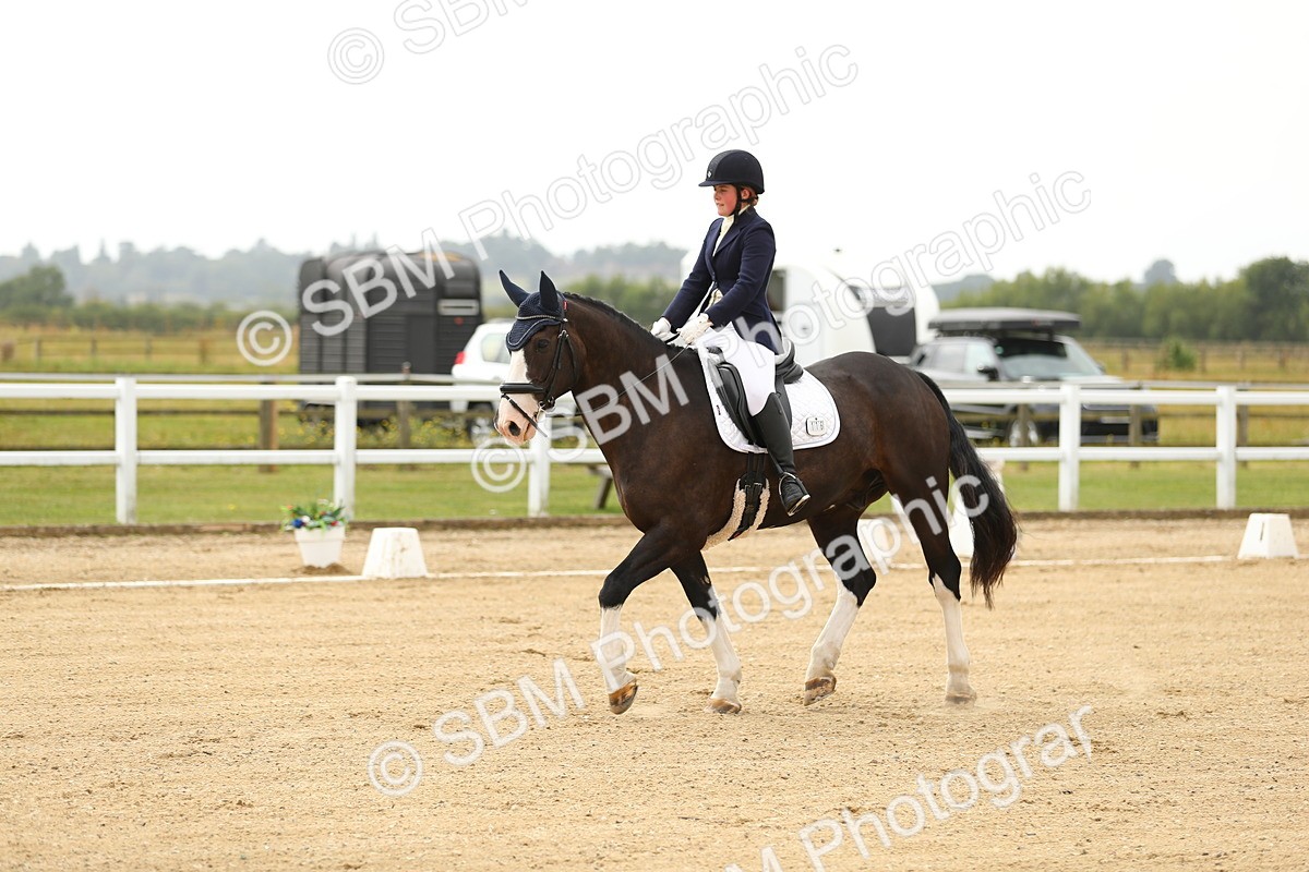 SBM_017242 - Class 13 - Novice 23 - 13.31-14.13