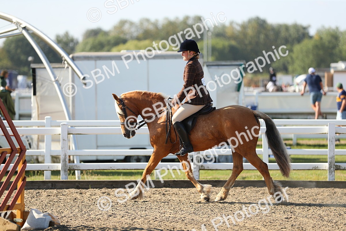 SBM_01198 - Class 42 Ridden Veteran