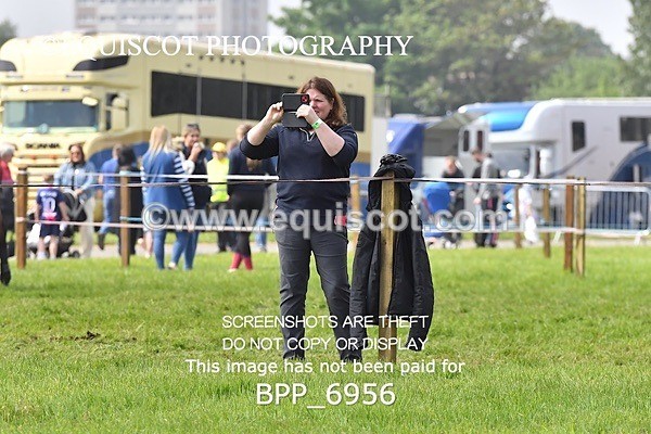 BPP_6956 - CLASS 3 RHS Fox Champ Qual (1.20m)