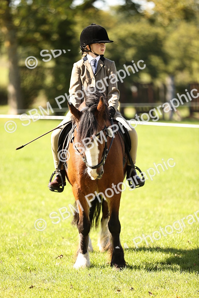 SBM_19172 - S3 - TSR Ridden Pony Showing