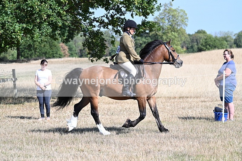 WJ7_3740 - Class 9 Mountain & Moorland Ridden