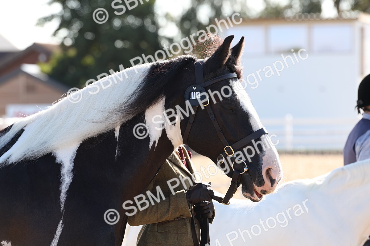 SBM_11747 - Class 204 - Young Handler 11 to 16 years