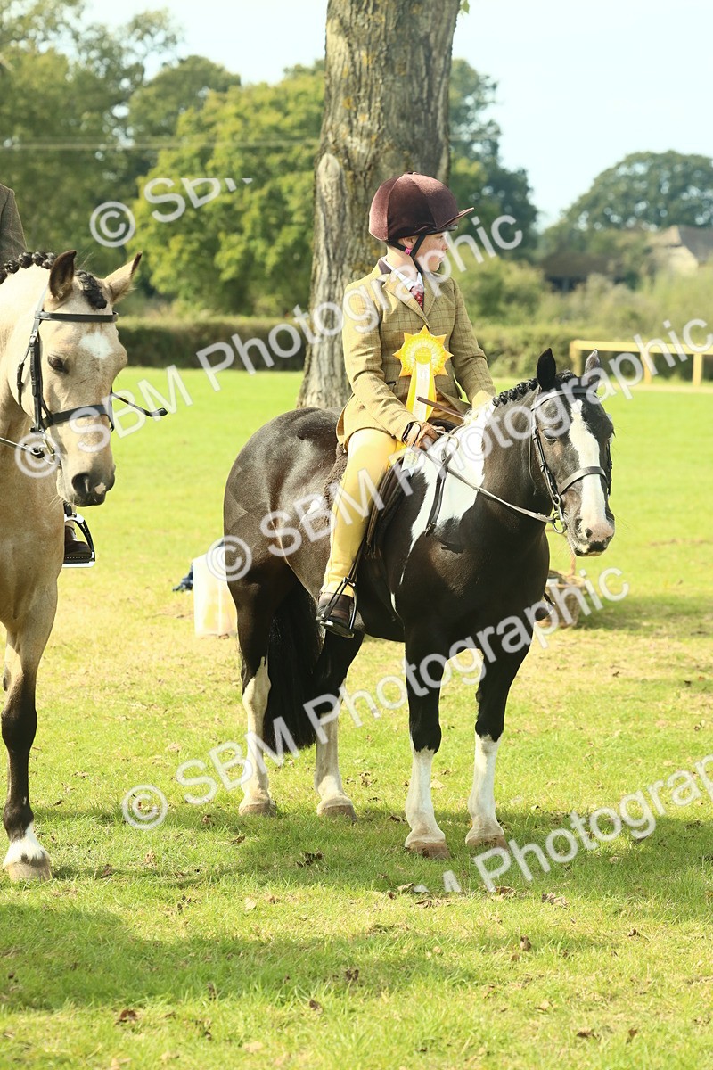 SBM_68979 - S58 - Mini Show Cob Ridden