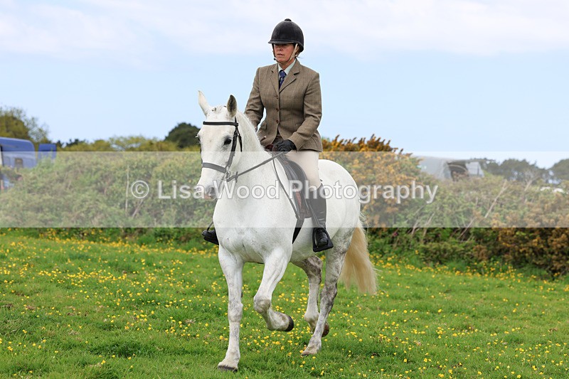 3E7A1248 - Class 7: Ridden Hunter Type