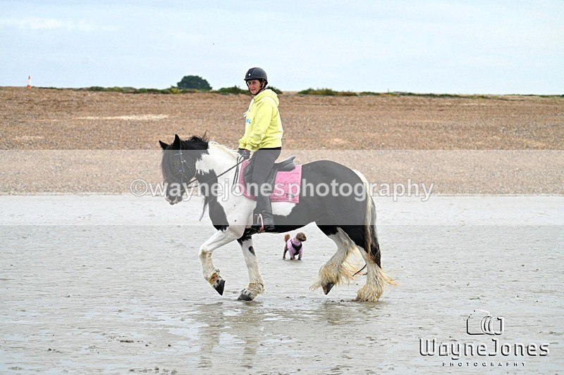 WJ7_8789 - Hayling Island Beach Shoot 22-09-24