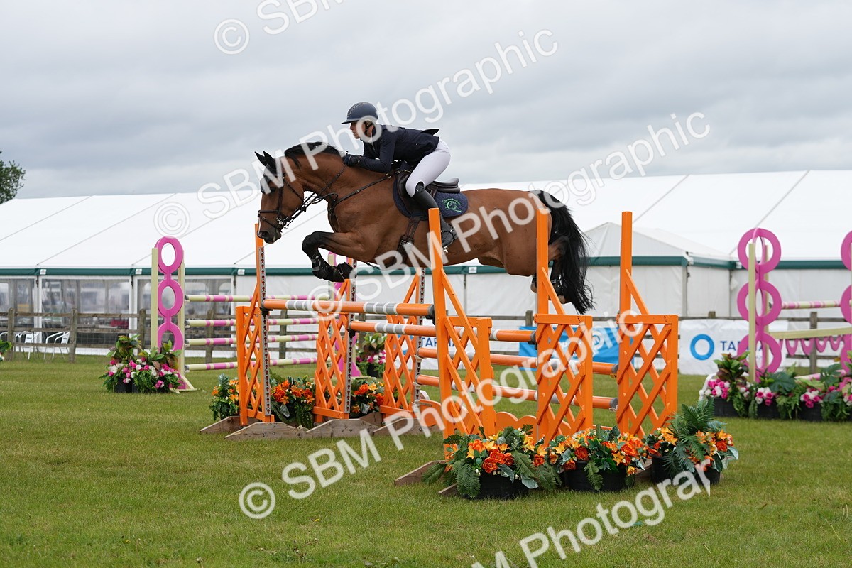 SBM_03252 - Class 201 - British Horse Feeds Speedi Beet Horse of the Year Show Grade  C