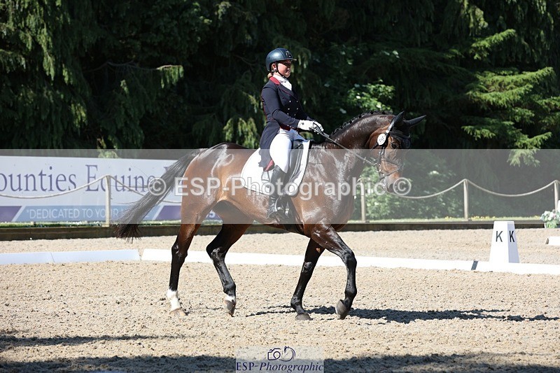 230526-094502-05156 - 357-VIVENDI_HERO-Saffron_Cresswell-WEDTrotUp+DR