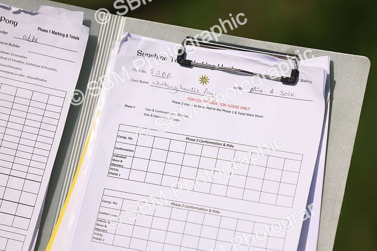 SBM_45476 - S33 - Working Hunter Pony