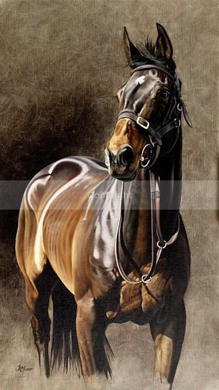 The point to pointer - Equine