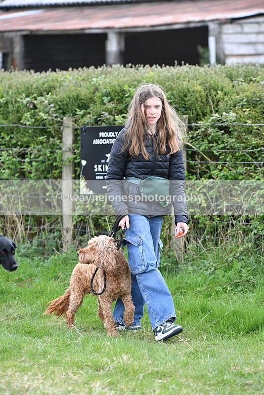 WJ5_9078 - Class 1 Best Cross Breed / Heniz 57