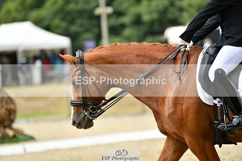 250718A-140815-01995 - 068-Stacey.Escrig-JOIE.DE.VIVRE.III