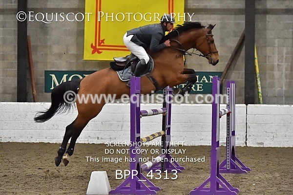 BPP_4313 - FRI CLASS 24 FOX/1.20M OPEN