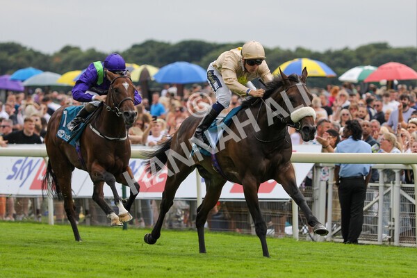 yr23072022r4-17 - Race 4 3.50pm Sky Bet In Running Racing Nursery Handicap