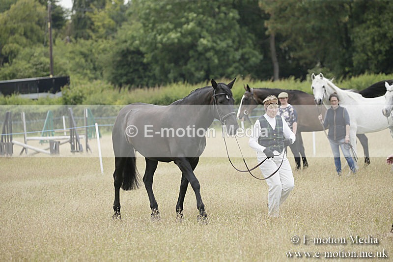 B230619-0532 - Bourne Valley Riding Club Summer Show 23/06/19