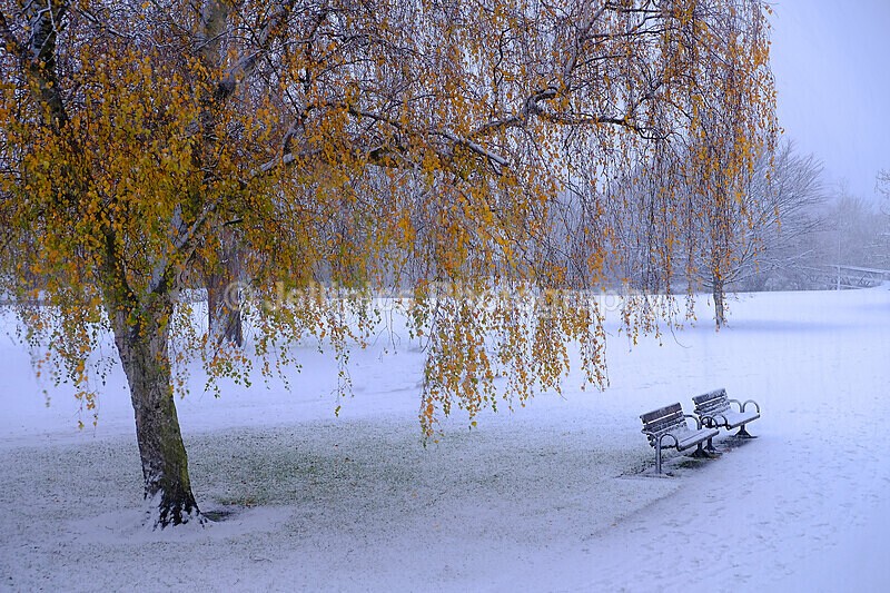  - Landscapes = 'Bedford in the Snow'
