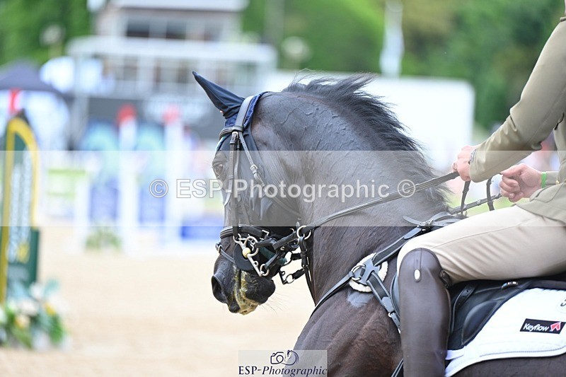 240525-154614-17895 - 534-SWIRLY_TEMPTRESS-Giovanni_Ugolotti