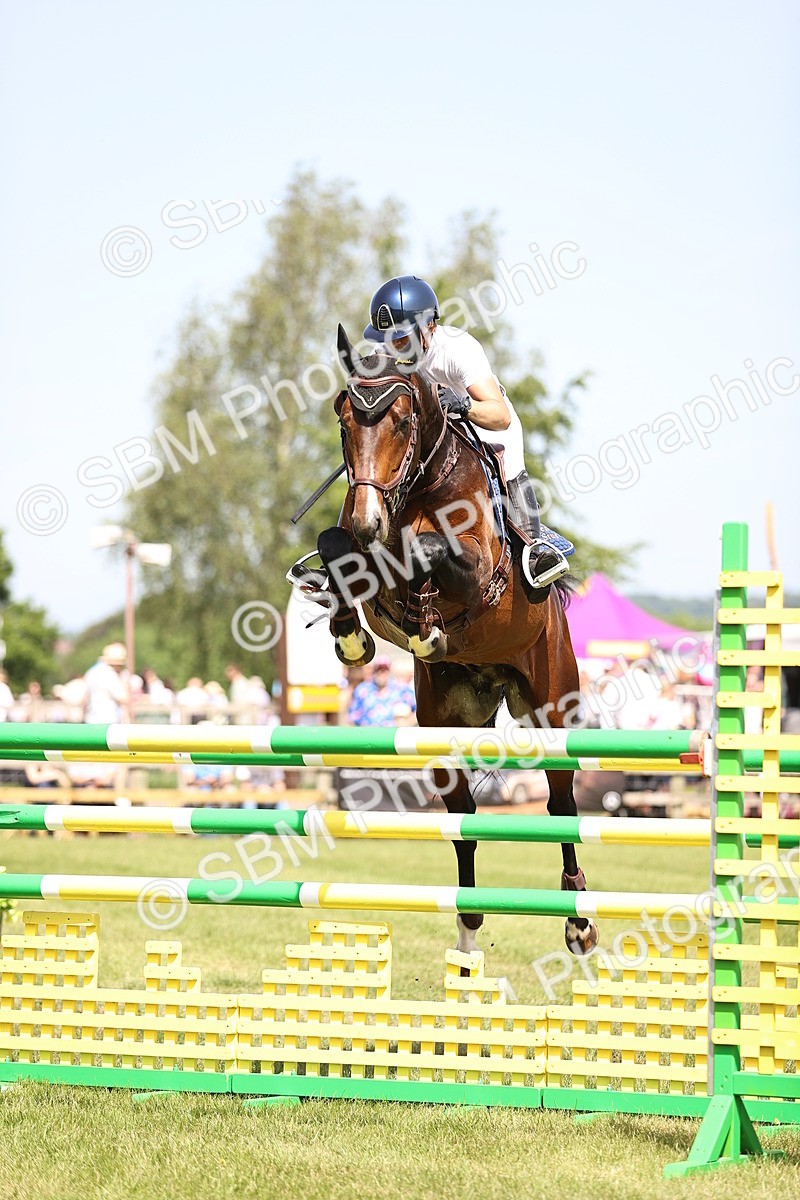 SBM_03944 - Class 201 - British Horse Feedds Speedi Beet HOYS Grade C