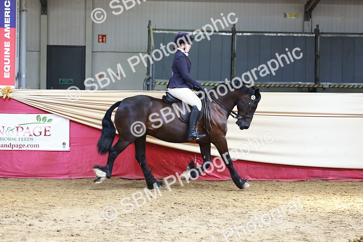 SBM_23901 - Class 905 - Supreme Final - Ridden Veteran