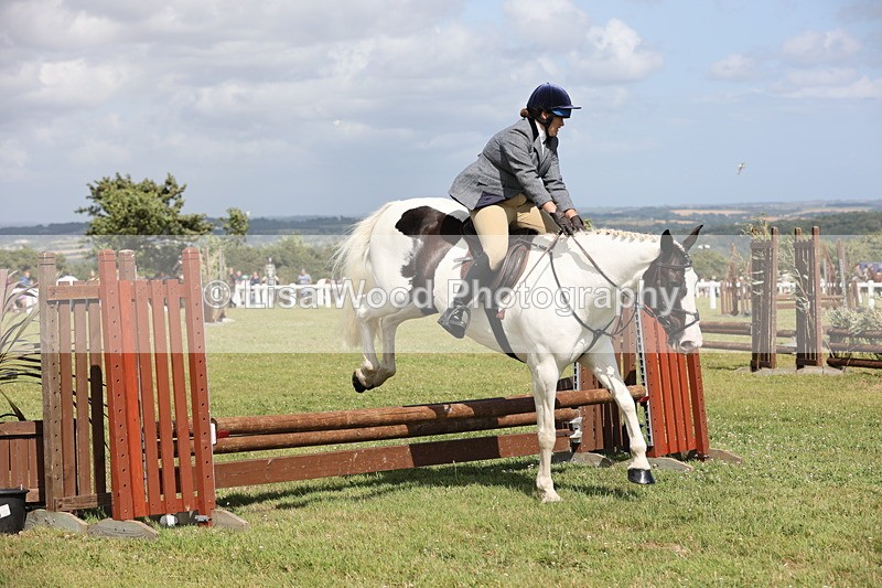 JPP_2191 - Class 19: Working Hunter 60cm