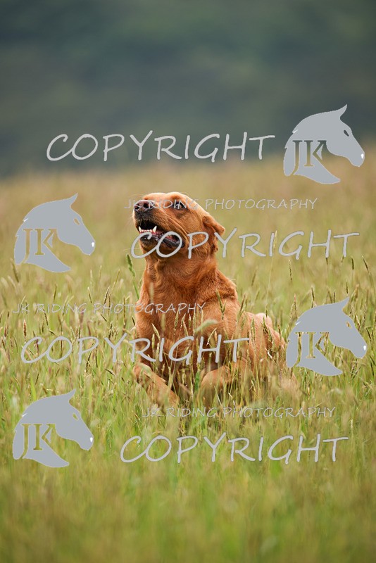 2R6A7438 - 11 Sharon