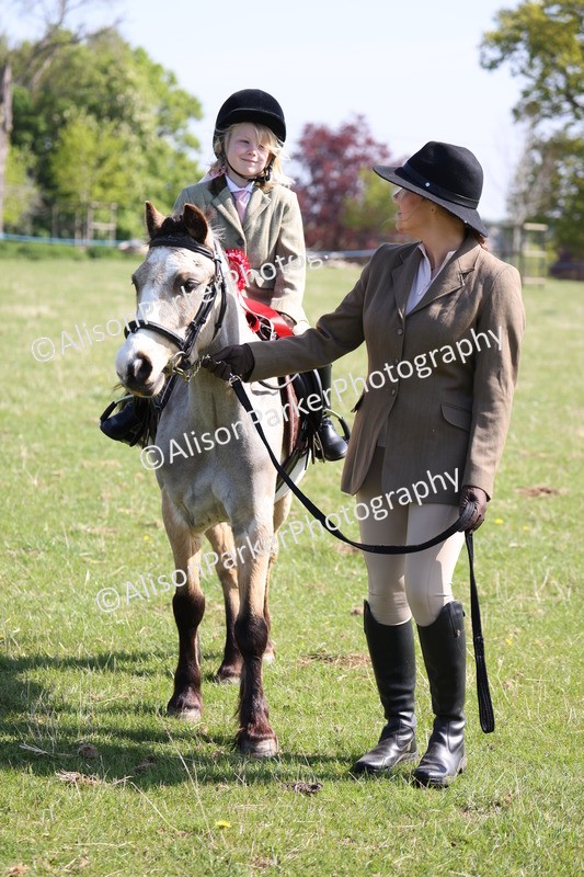 20250427-1563 - Class 31 - Leading Rein Pony