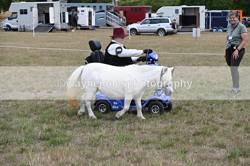 WJ6_6014 - Class 19 In-hand Veterans (Uploaded correct folder)