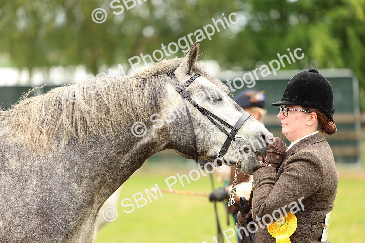SBM_04114 - Class 64-67 - Shetland Pony In Hand