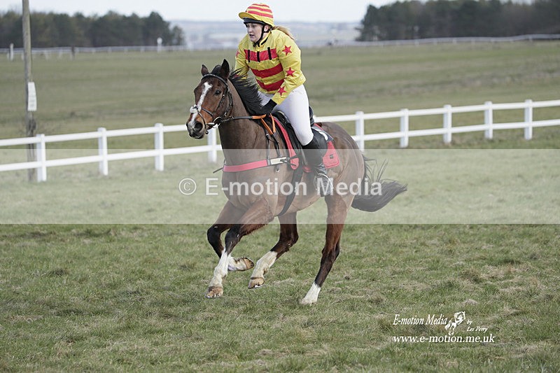 PtP 260223 117 - South & West Wilts Point-to-Point Larkhill 26/02/23