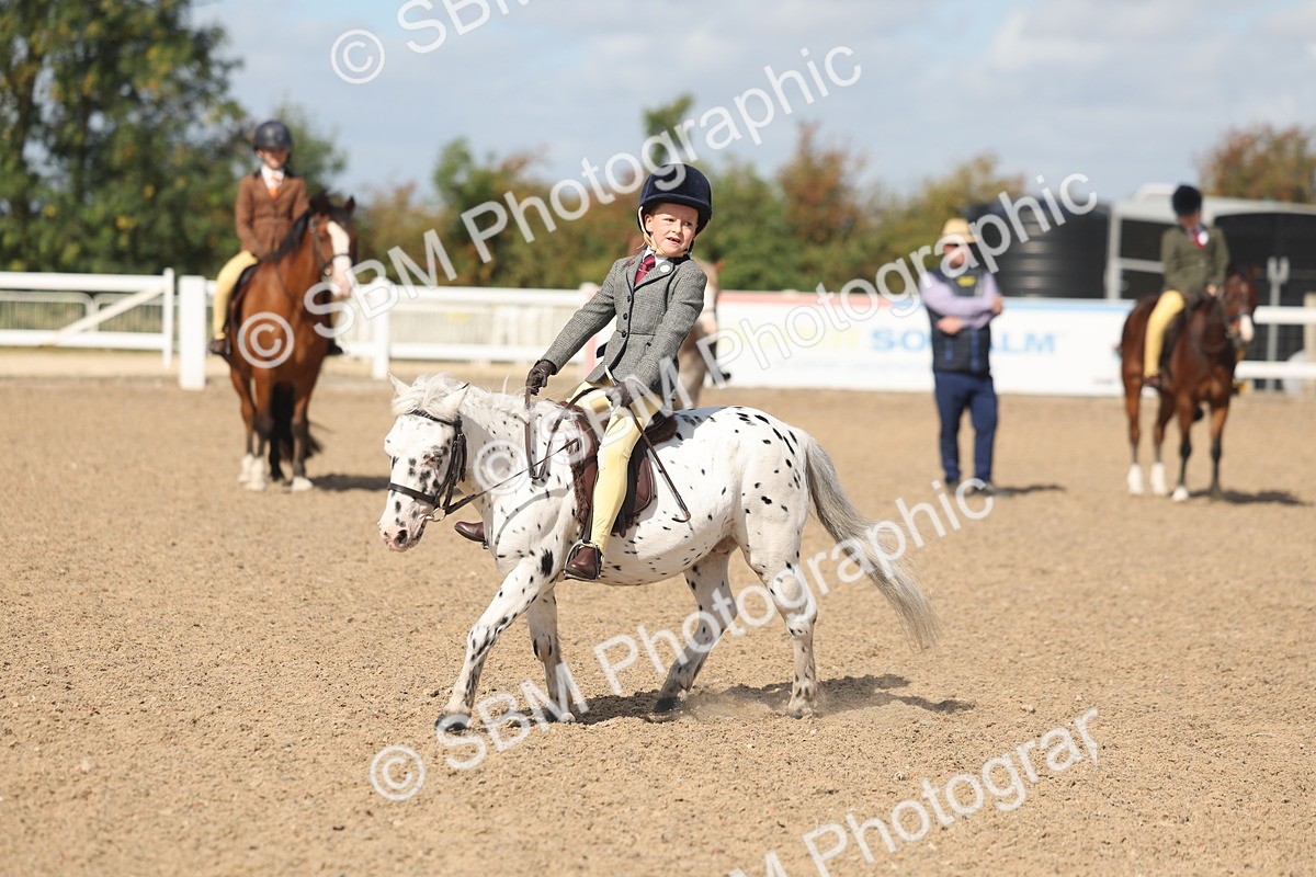 SBM_23133 - Class 806 - Young Rider 10ry and Under