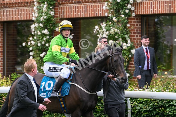 150624-C-Macmillan Ride Of Their Lives-6144 - 12.30pm Macmillan Ride of Their Lives