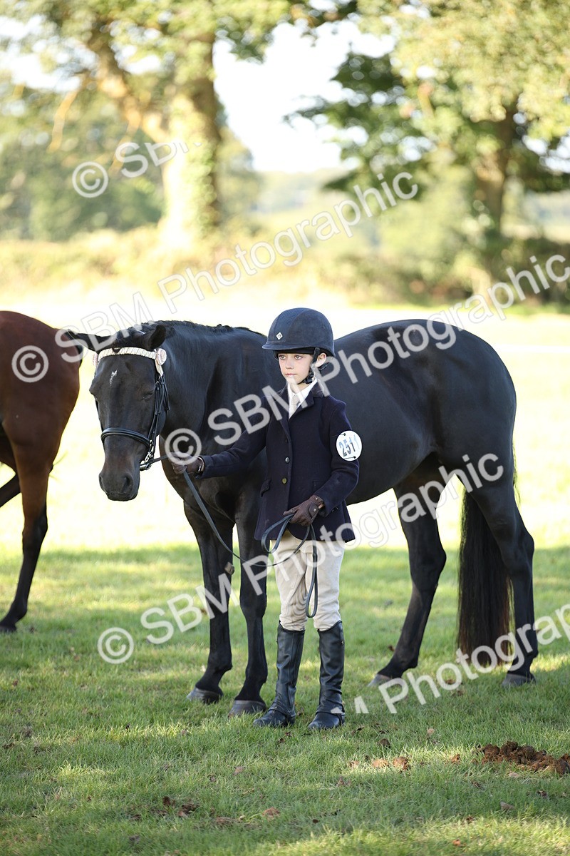 SBM_36658 - S10 - Best In Hand Horse & Pony